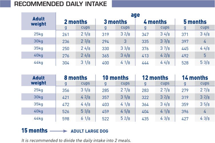 Pediatric junior large dog over 25kg online